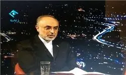 صالحی: آمریکا می خواهد برجام را با هزینه ایران از بین ببرد