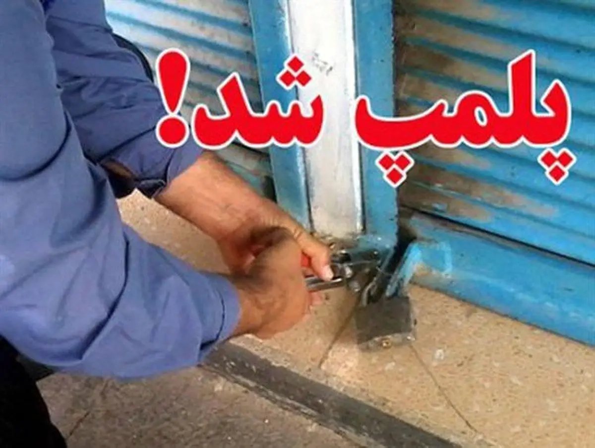 پلمپ یک واحد نانوایی در میبد بعلت وجود سوسک در نان!