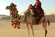  شتر سواری نظری


