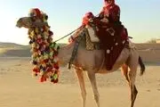  شتر سواری نظری

