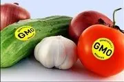 چرا در محصولات تراریخته تحریم نیستیم؟