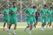 استقبال از پوستر نوستالژیک تیم‌ملی