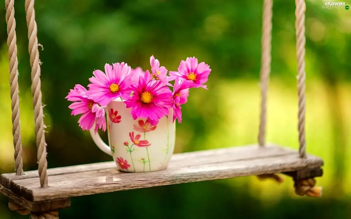 توصیه امام رضا(ع) درباره تقسیم ساعات شبانه روز