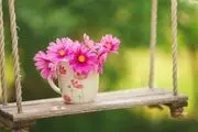 چرا آدم ها بیشتر جذب دنیا می شوند تا آخرت؟