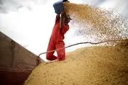  احتکار مواد غذایی در چین
