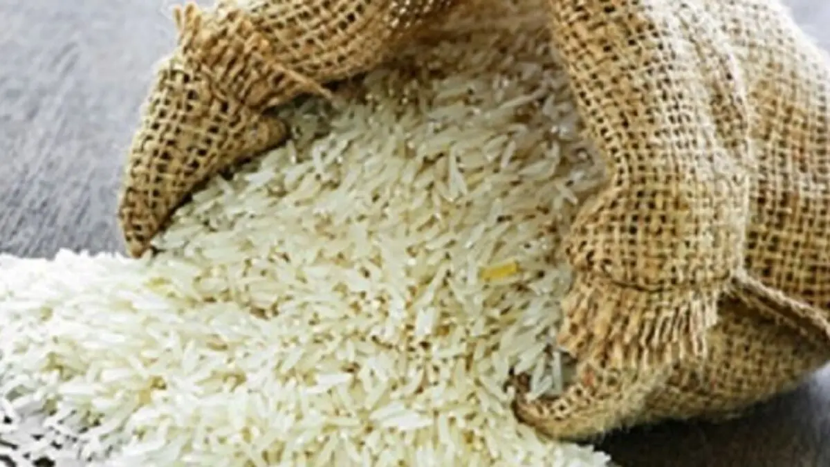 واردات برنج تا ابتدای آذر ممنوع است
