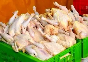 قیمت فروش مرغ در بازار چقدر است؟