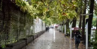 بارش شدید باران در تهران + فیلم