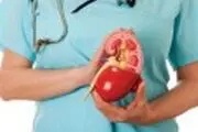 راه های طبیعی غلبه بر سنگ کلیه