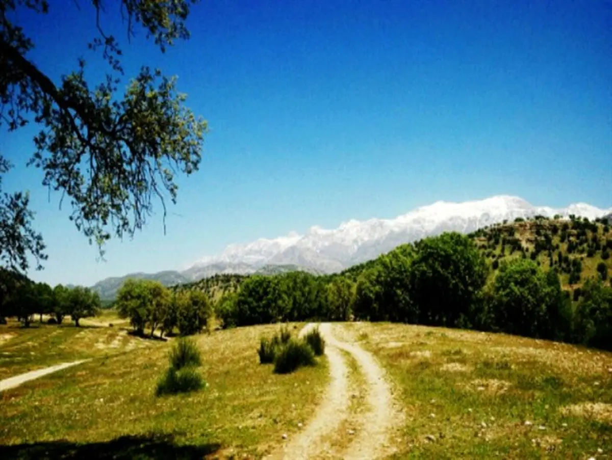 بویراحمد نگینی سرسبز در زاگرس جنوبی+تصاویر