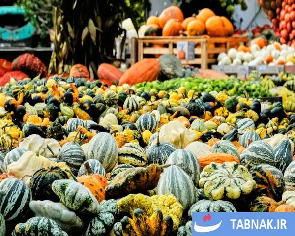 پاییز؛ شکوه رنگ‌ها در چهار گوشه جهان/گزارش تصویری