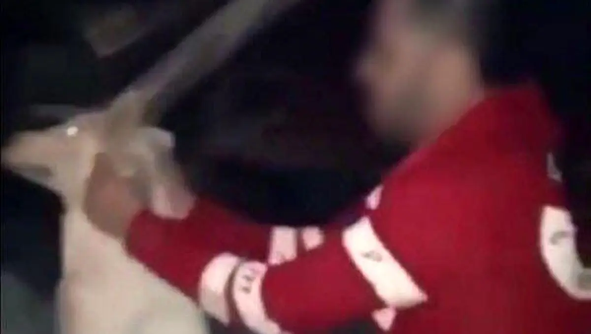 متهم کلیپ جنجالی حیوان آزاری دستگیر شد
