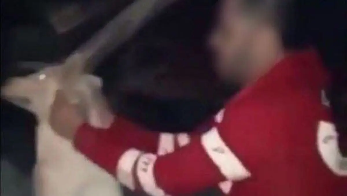 متهم کلیپ جنجالی حیوان آزاری دستگیر شد