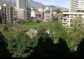 ۴ هزار هکتار از باغات تهران نابود شدند