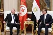 رایزنی رئیس جمهور تونس با «عبدالفتاح السیسی» 