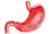  ریشه مشکلات معده کجاست؟ 