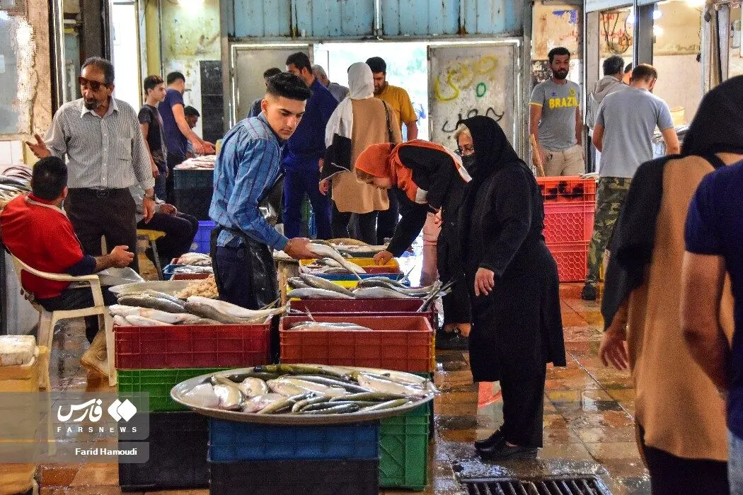 بازارماهی فروشان آبادان/گزارش تصویری
