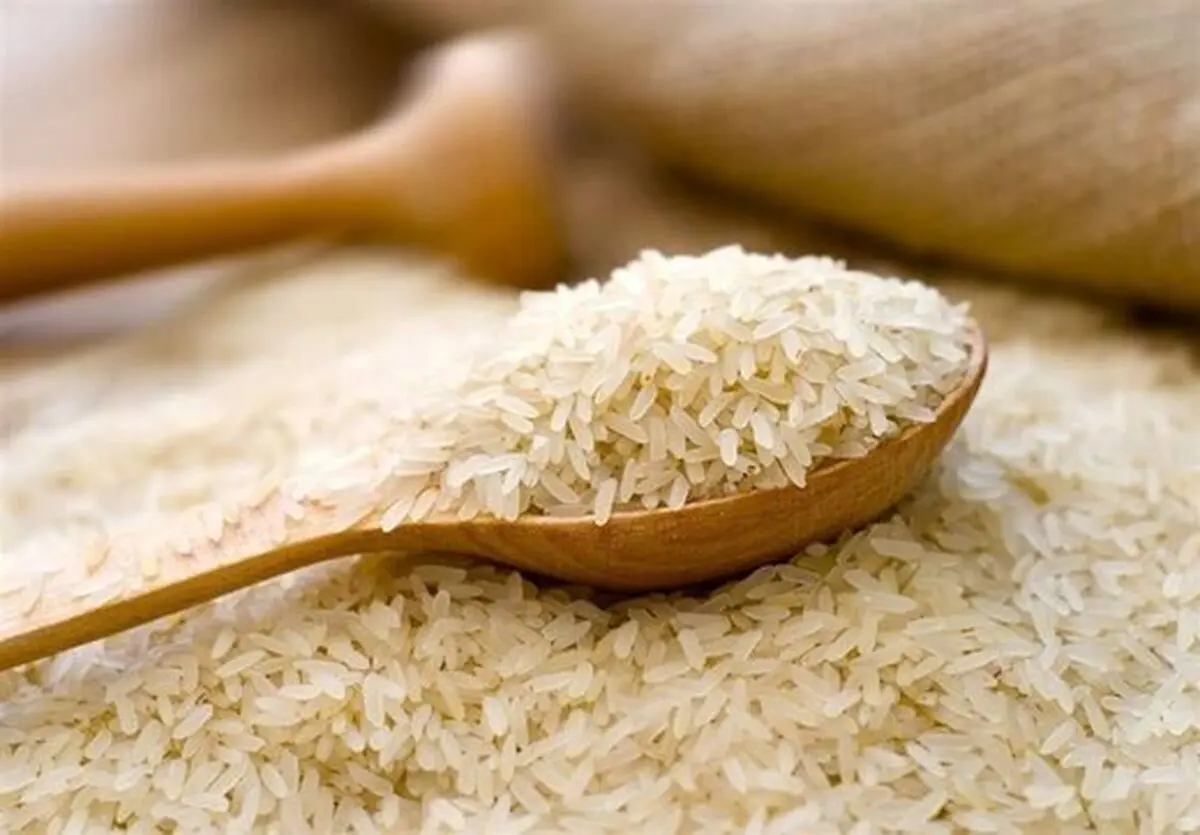 خبر مهم درباره قیمت جدید برنج