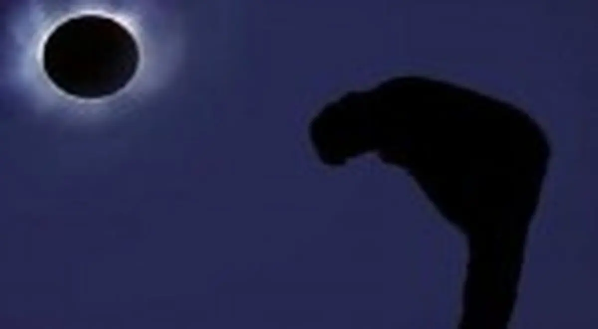 امام سجاد (ع) درباره اهمیت نماز شب چه فرمودند؟