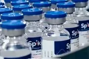 واکسن اسپایکوژن در حال هموار کردن بازار صادراتی کشور