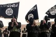 فرمانده ارشد داعش بازداشت شد