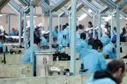 اشتغال ۸۰ درصدی در زندان‌های استان تهران