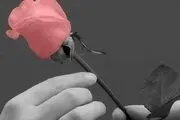 آیا تنهایی زندگی کردن در اسلام مکروه است؟