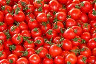 افزایش عرضه گوجه فرنگی در بازار