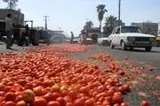 افت قیمت محصولات کشاورزی در جنوب کرمان