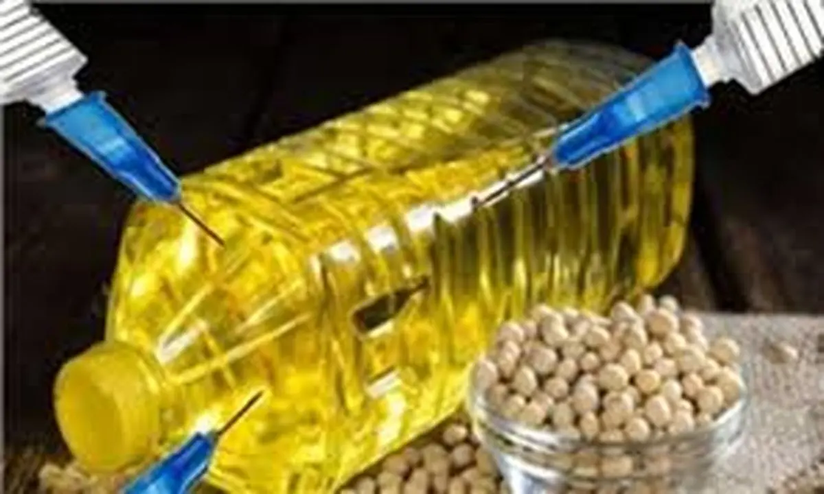 مردم نگران محصولات غذایی «تراریخته» نباشند!