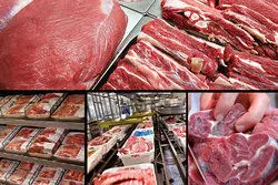  یارانه بگیران گوشت تنظیم بازار می گیرند