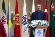 ایران از هر فرصتی برای تقویت روندهای همگرایی در اکو استفاده می‌کند