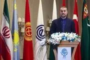ایران از هر فرصتی برای تقویت روندهای همگرایی در اکو استفاده می‌کند