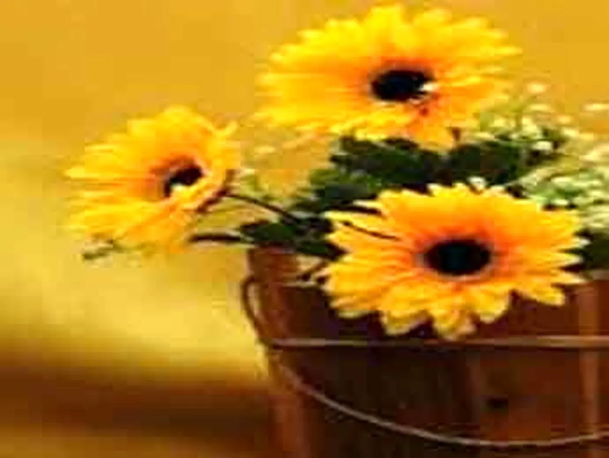 چه وقت خوش اخلاق می شوید؟