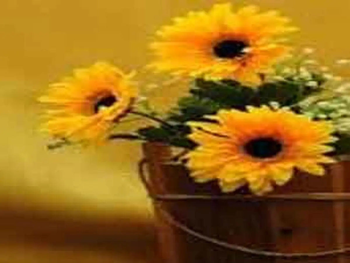 چه وقت خوش اخلاق می شوید؟