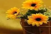 چه وقت خوش اخلاق می شوید؟