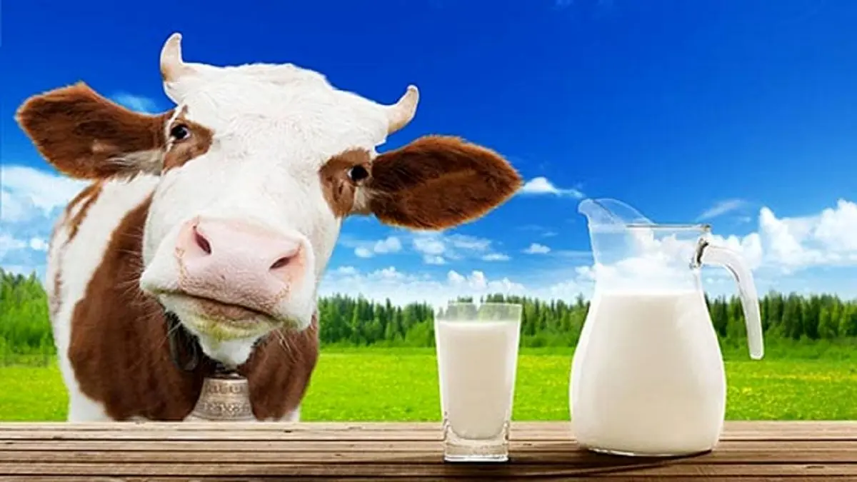 قیمت شیر پاستوریزه برای وعده صبحانه چقدر است؟