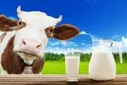 قیمت شیر پاستوریزه برای وعده صبحانه چقدر است؟
