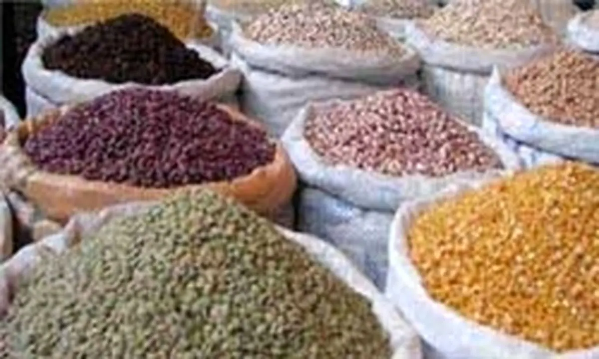 ایران چند تن عدس از کانادا وارد کرده است؟