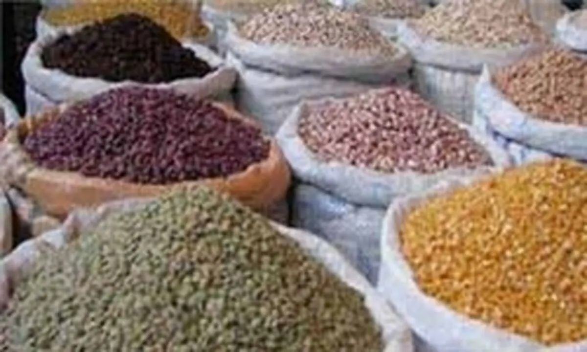 ایران چند تن عدس از کانادا وارد کرده است؟