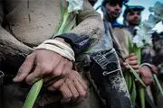 «‌وقتی ماهی‌ها عاشق می‌شوند»؛ نمایشنامه‌ای از دل غواصانی با دست‌ بسته