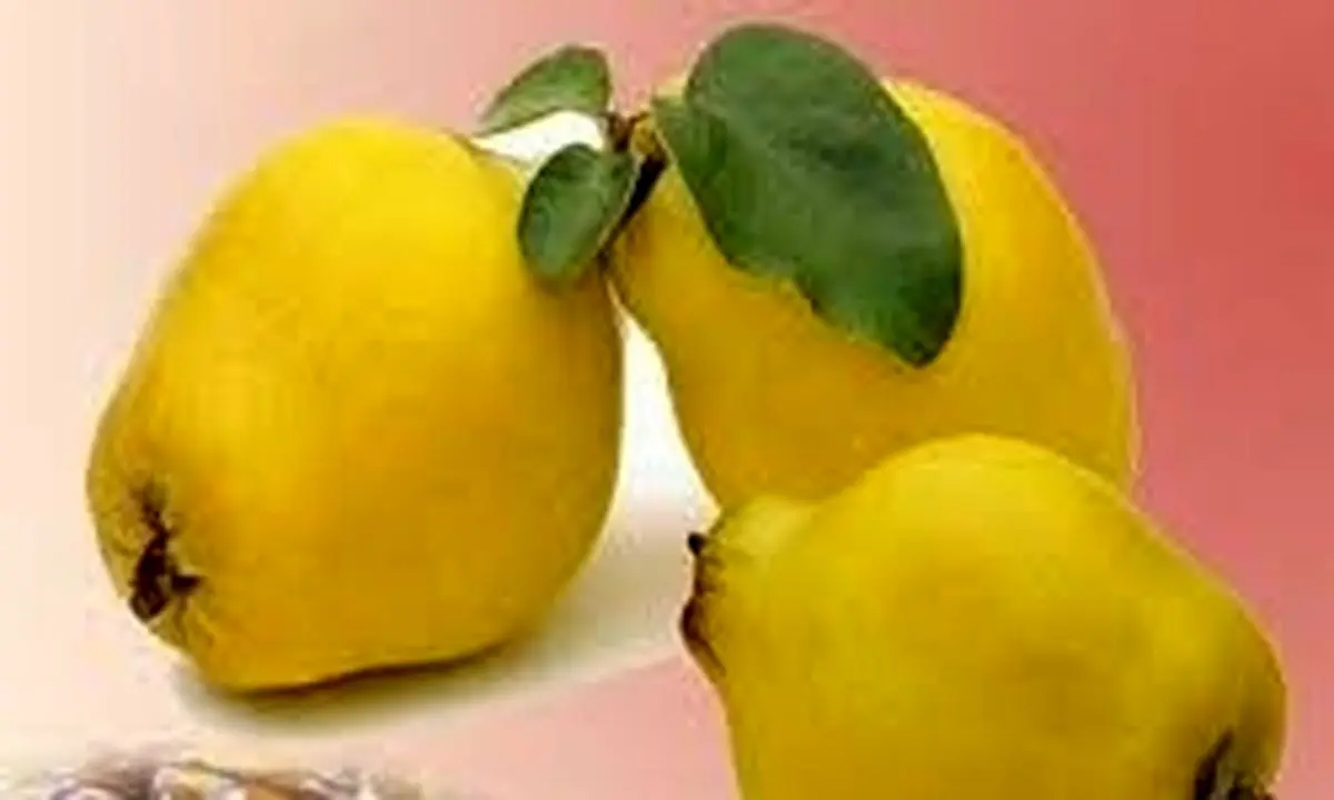 با خواص طلایی «به» آشنا شوید