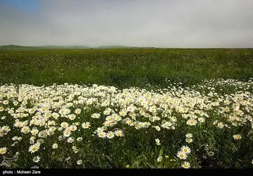 طبیعت
