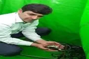 30 هزار بچه ماهی در سد شهید یعقوبی رشتخوار رهاسازی شد