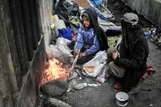 مشکلات ساماندهی زنان کارتن‌خواب از زبان دانشور