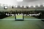 رسیدگی به تحقیق و تفحص از عملکرد نهاد ریاست‌جمهوری در مجلس