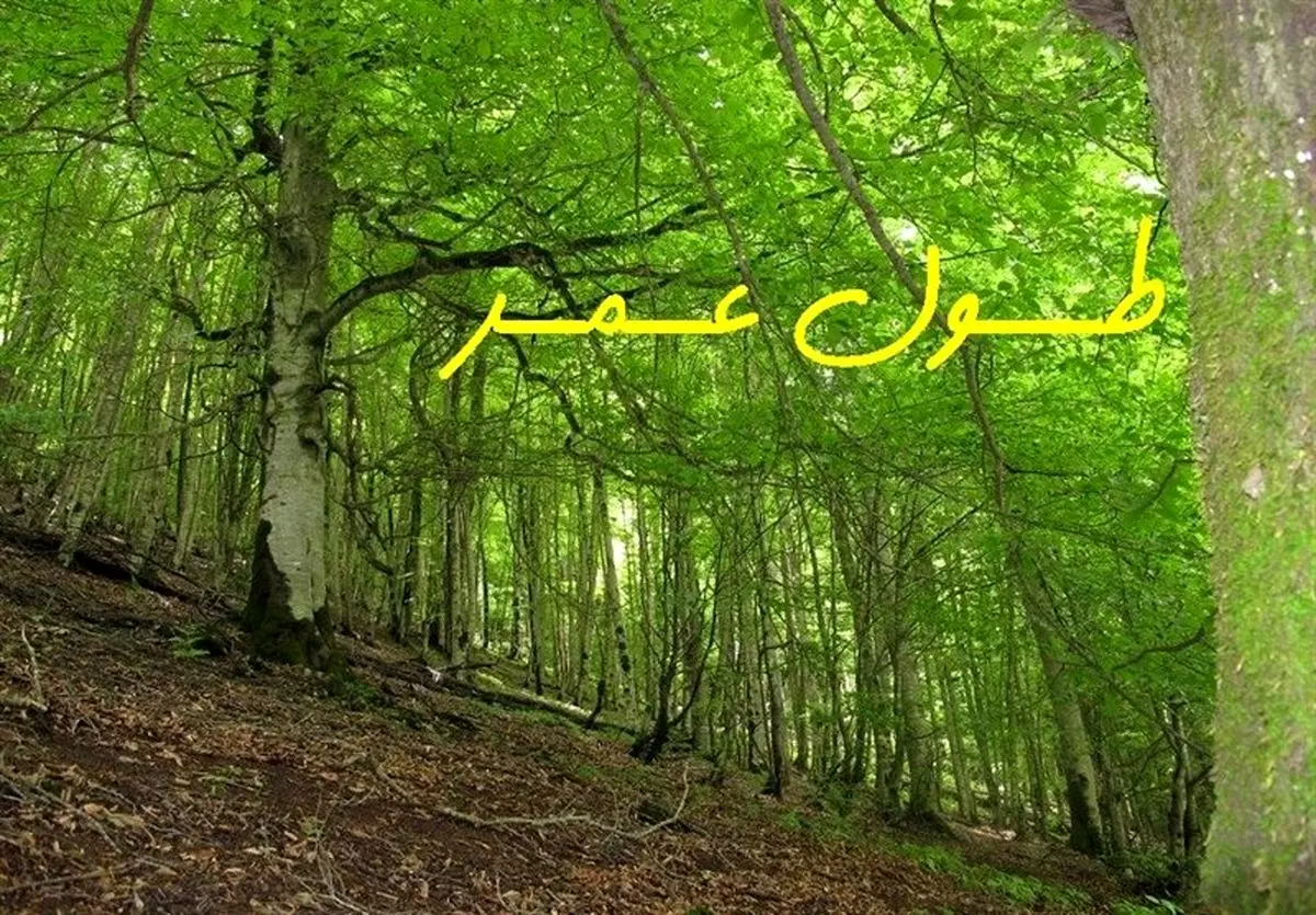 کدام ورزشها عمر شما را طولانیتر میکنند؟