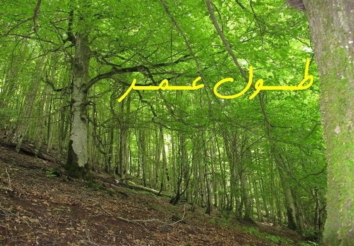 کدام ورزش‌ها عمر شما را طولانی‌تر می‌کنند؟