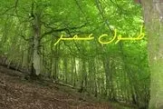 سلامتی و طول عمر با رژیم غذایی ژاپنی