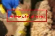 زنده به گور کردن جوجه های یک روزه/ مقصر چه کسانی هستند؟
